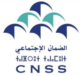 CNSS Logo